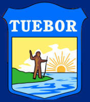 Male Figure - Michigan Flag
